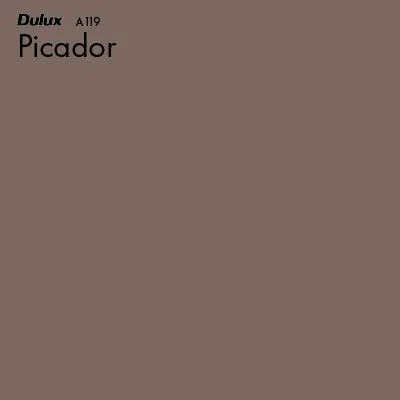 Picador