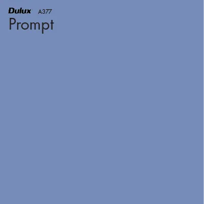 Prompt