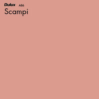 Scampi