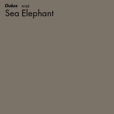 Sea Elephant