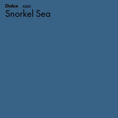 Snorkel Sea