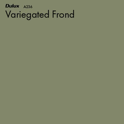 Variegated Frond