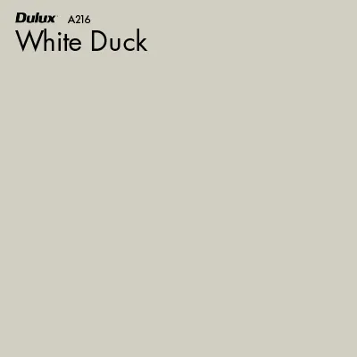 White Duck
