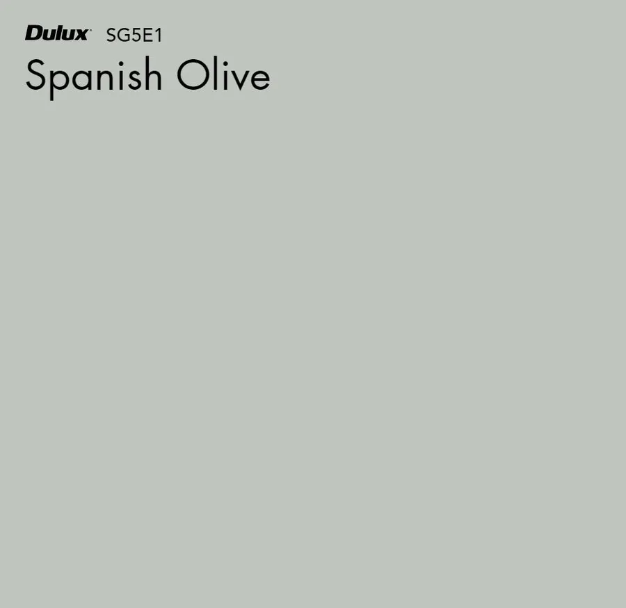 Spanish Olive