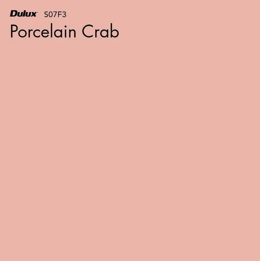 Porcelain Crab
