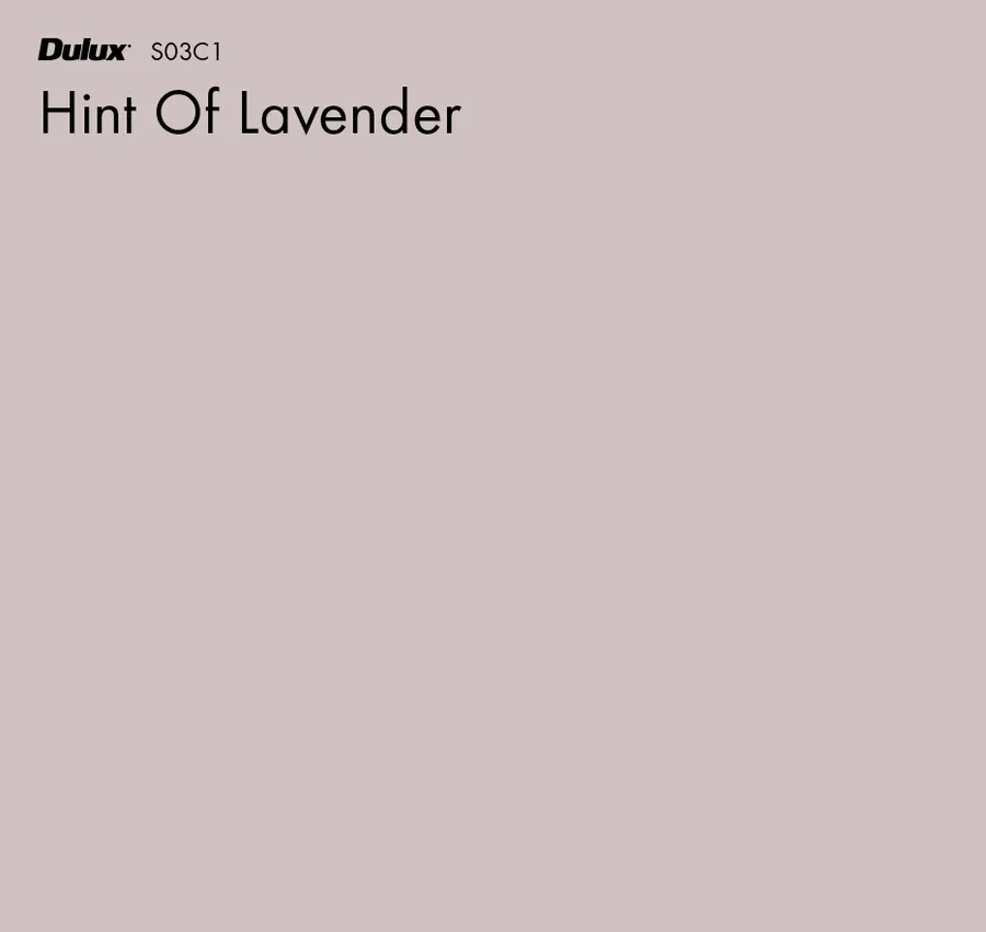 Hint Of Lavender