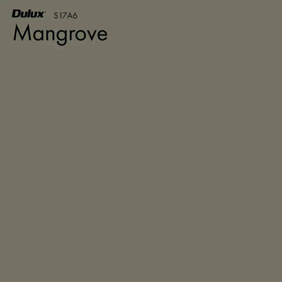 Mangrove