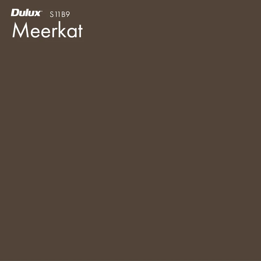 Meerkat