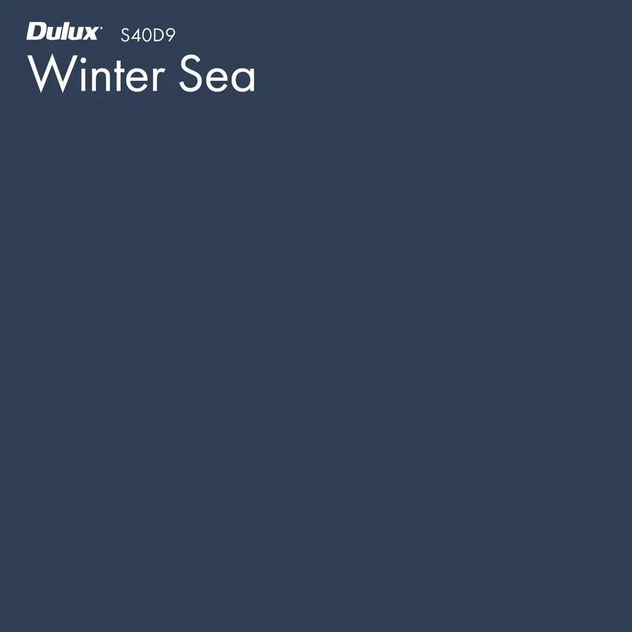 Winter Sea