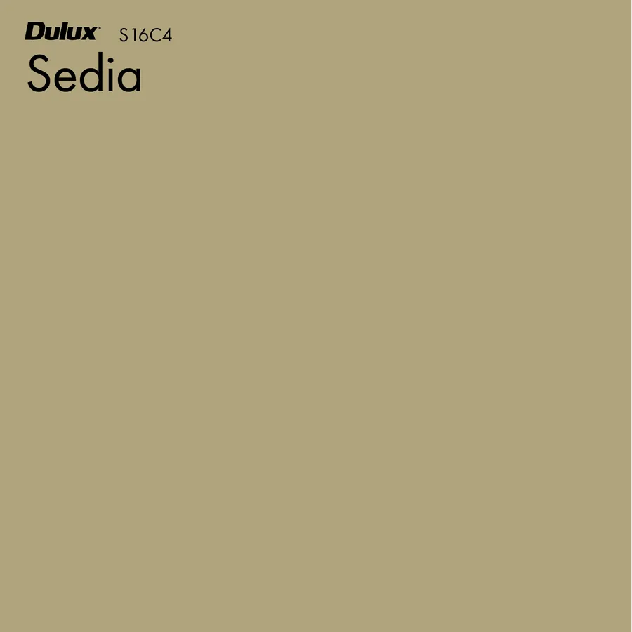 Sedia