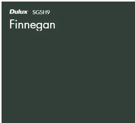 Finnegan