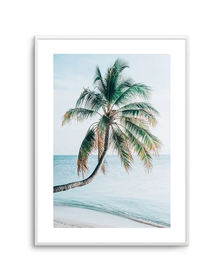 Maldivian Palm I
